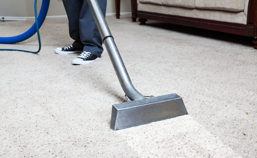 cleaning carpet 